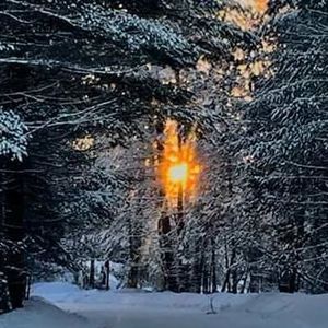 Meet your Posher, Phil